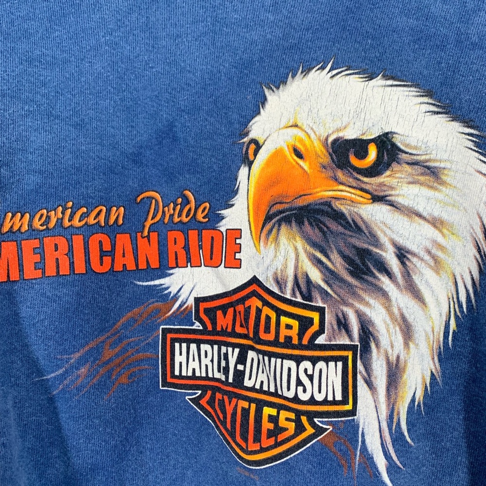 Harley Davidson Flaming Gorge Men’s Sweatshirt - Picture 4 of 13
